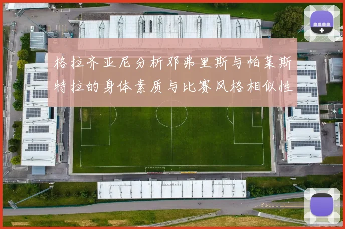格拉齐亚尼分析邓弗里斯与帕莱斯特拉的身体素质与比赛风格相似性