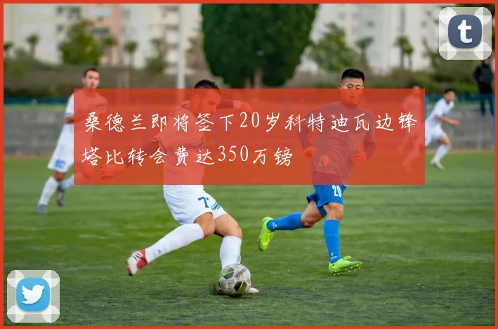 桑德兰即将签下20岁科特迪瓦边锋塔比转会费达350万镑
