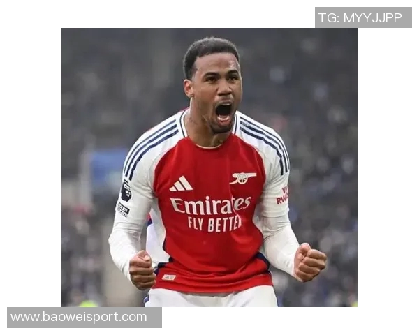 前阿森纳青训球员维加不幸身亡围墙已被拆除引发广泛关注 前阿森纳青训球员维加不幸身亡围墙已被拆除引发广泛关注